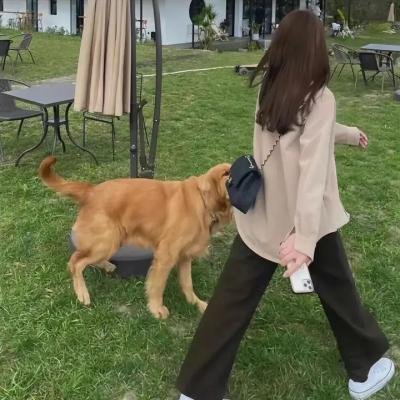女警事业